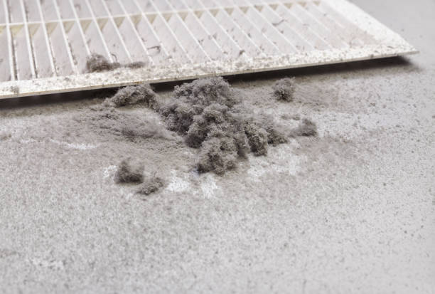 Best HVAC Duct Inspection Services  in Palmyra, NJ