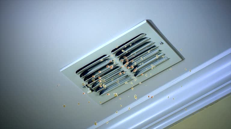 Best HVAC Maintenance and Cleaning  in Palmyra, NJ