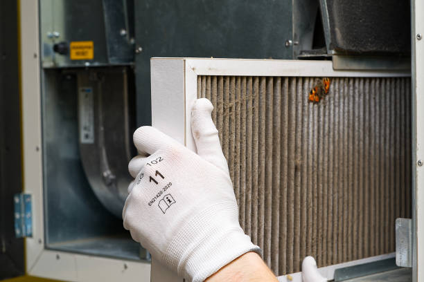Best Local Air Duct Cleaning Services  in Palmyra, NJ