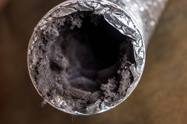 Best Professional Duct Cleaning Services  in Palmyra, NJ