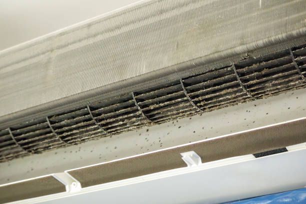 Best Air Duct Cleaning Near Me  in Palmyra, NJ